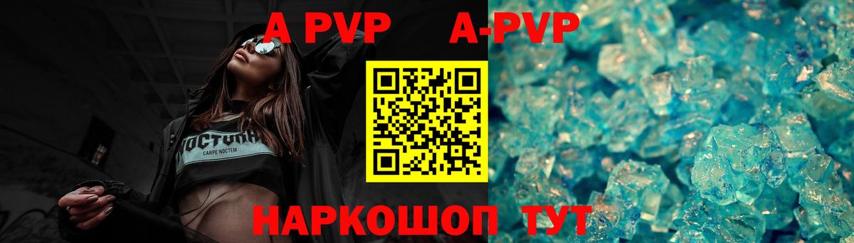 Alfa_PVP СК Гатчина