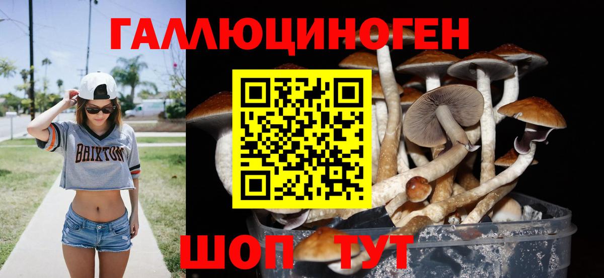 Гатчина  купить наркотик  Вход с VPN  Галлюциногенные грибы Magic Shrooms 