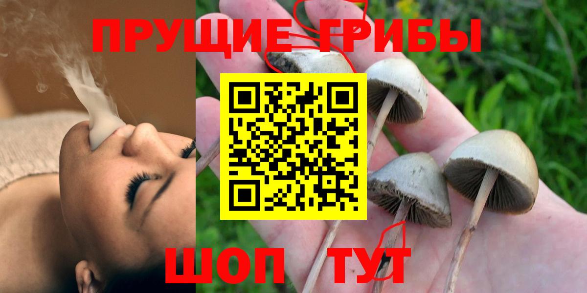Псилоцибиновые грибы мухоморы Гатчина